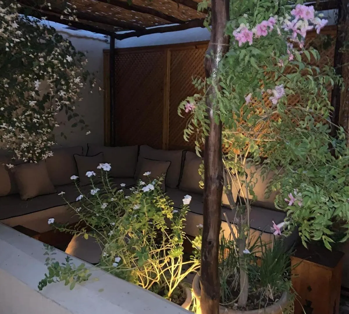 Guest house Le Petit Pacha Hotel Marrakesh