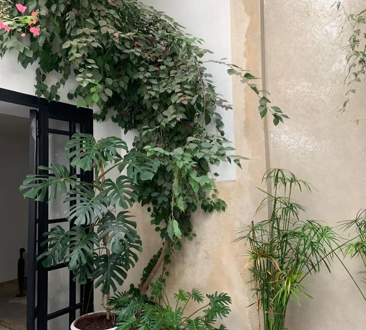 Hotel Le Petit Pacha Marrakesh