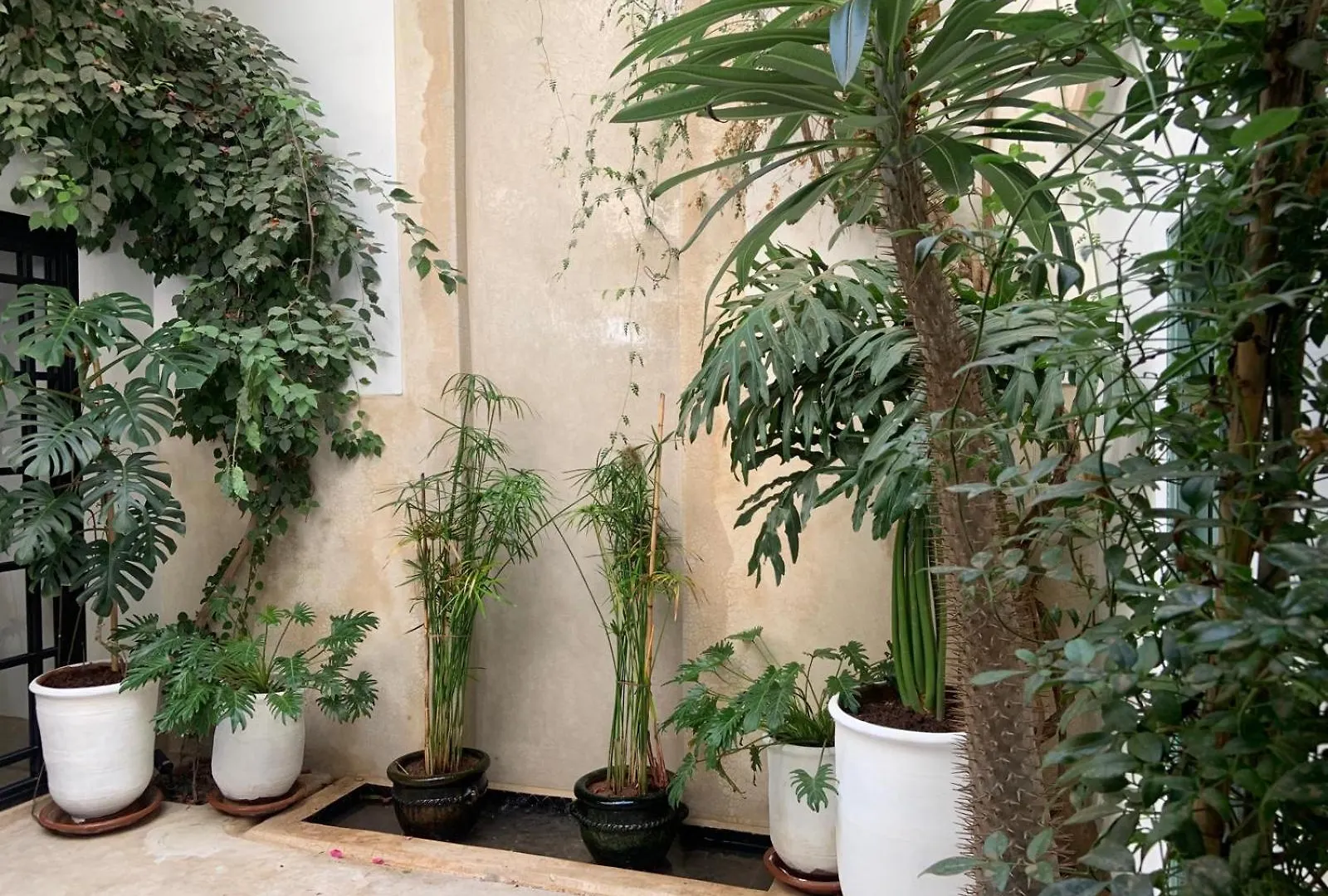 Hotel Le Petit Pacha Marrakesh Affittacamere