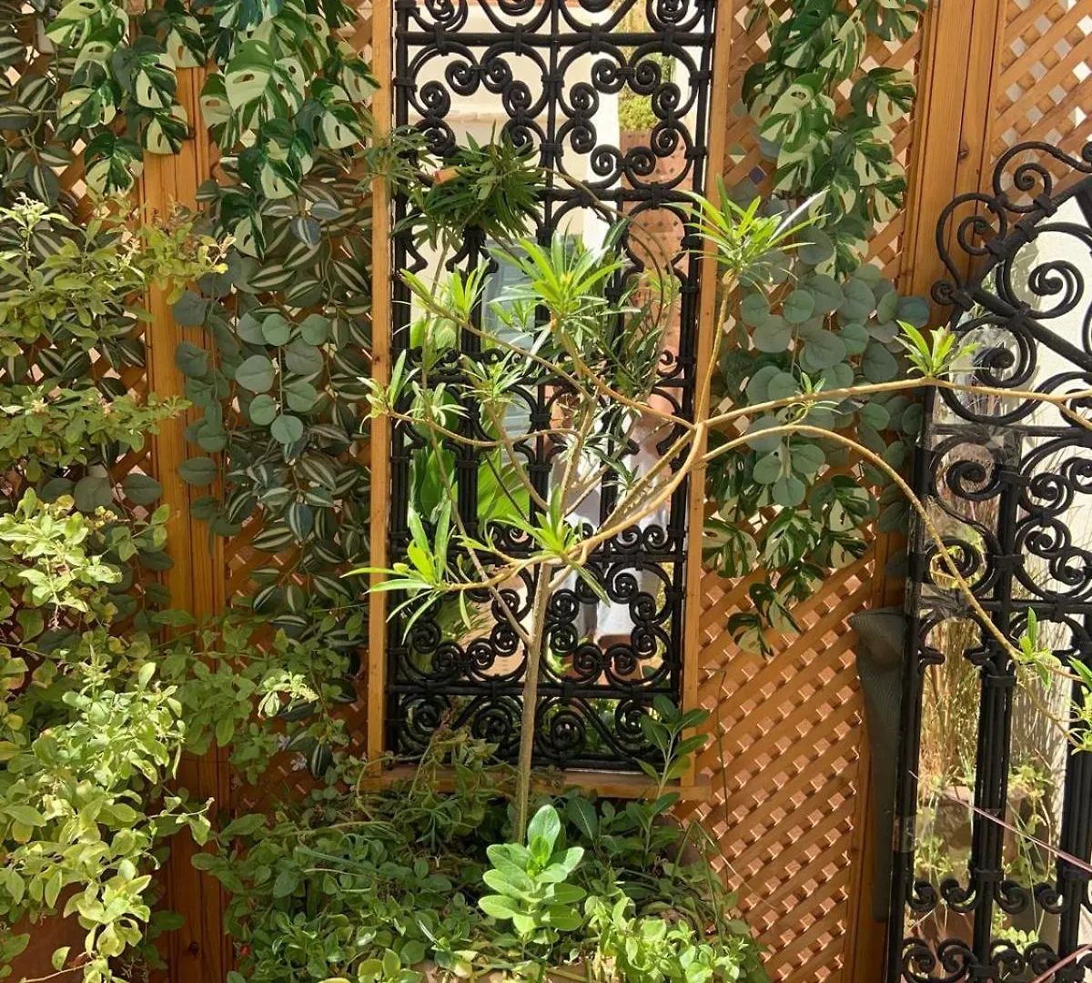 Guest house Le Petit Pacha Hotel Marrakesh